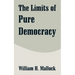 The Limits of Pure Democracy