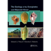 The Geology of the Everglades and Adjacent Areas