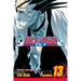Bleach, Vol. 13