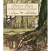 Peter Pan in Kensington Gardens