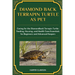 Diamondback Terrapin Turtle as Pet: Caring for the Diamondback Terrapin Turtle: Feeding, Housing, and Health Care Essentials for Beginners and Advance