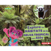 Explora Los Hábitats de la Selva Tropical Con Abby (Explore Rain Forest Habitats with Abby)