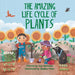 The Amazing Life Cycle of Plants