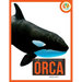 Orca