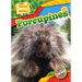 Porcupines