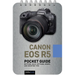 Canon EOS R5: Pocket Guide: Buttons, Dials, Settings, Modes, and Shooting Tips