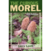 Curious Morel