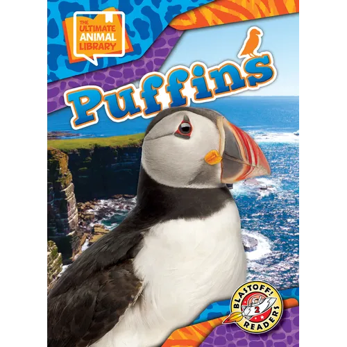 Puffins