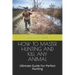 How to Master Hunting and Kill Any Animal: Ultimate Guide For Perfect Hunting