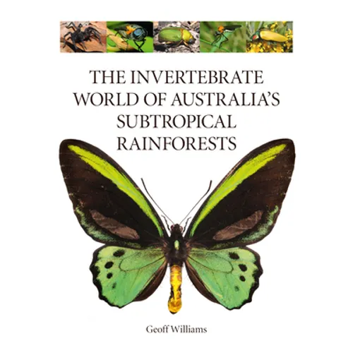 The Invertebrate World of Australia's Subtropical Rainforests