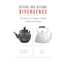 Before and Beyond Divergence