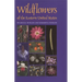 Wildflowers of the Eastern United States
