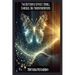 The Butterfly Effect: Small Changes, Big Transformations