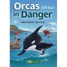 Orcas in Danger