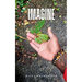 Imagine