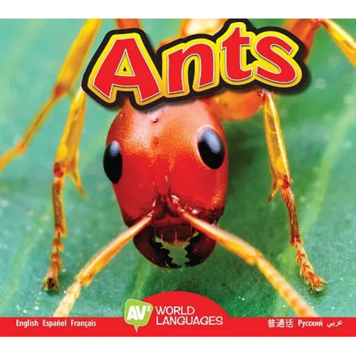 Ants