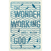 The Wonder-Working God: Seeing the Glory of Jesus in His Miracles