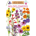 Wildflowers