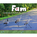 Fam: The Remarkable Story of a Canada Goose Adopted by Sandhill Cranes