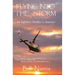 Flying Into The Storm