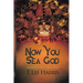 Now You Sea God: A Josh Katzen Collection (Ebook)