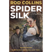 Spider Silk: A Murder Mystery on the High Desert