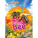 Animal Life Cycles: Bee