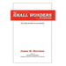 The Small Wonders of Leadership
