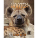 Hootch