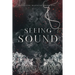 Seeing Sound