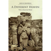 A Different Heaven: New & Selected Poems