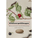 Caterpillage: Reflections on Seventeenth-Century Dutch Still Life Painting