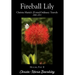 Fireball Lily: Christa-Maria's (Extra)Ordinary Travels, 2000-2014