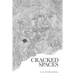 Cracked Spaces