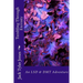 Tumbling Through Eternity: An LSD & DMT Adventure