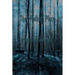 The Fading Place
