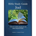 Bible Study Guide: Joel