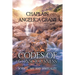Codes of Consciousness: Science, Art and Spirituality