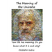 The Meaning of the Universe: Your Life Has Meaning. But Do You Know What and Why?