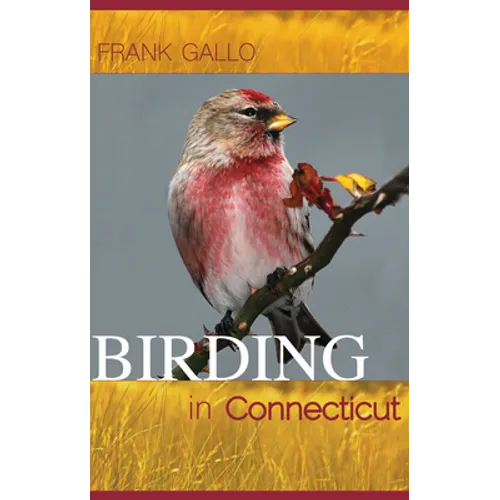 Birding in Connecticut