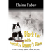 Black Cat and the Secret in Dewey's Diary: A tale of history, mystery, riddles and gold