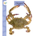 Crabs