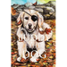 Buddy the Dog