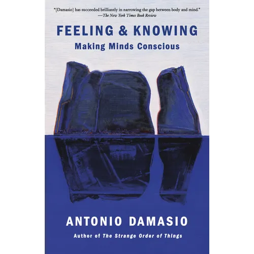 Feeling & Knowing: Making Minds Conscious