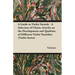 A Guide to Violin Varnish - A Selection of Classic Articles on the Development and Qualities of Different Violin Varnishes (Violin Series)