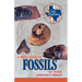 A Field Guide to Fossils of Texas
