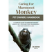 Caring for Marmoset Monkey: A Complete Guide to Marmoset Monkey Habitat, Diet, Pros and Cons, Management, and Many More Incliuded