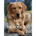 Lulu & The Noisy Dog