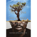 A Book of Poetry for the Nations: For SHALOM