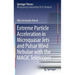 Extreme Particle Acceleration in Microquasar Jets and Pulsar Wind Nebulae with the Magic Telescopes